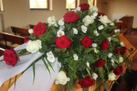 das zu meldende Bild